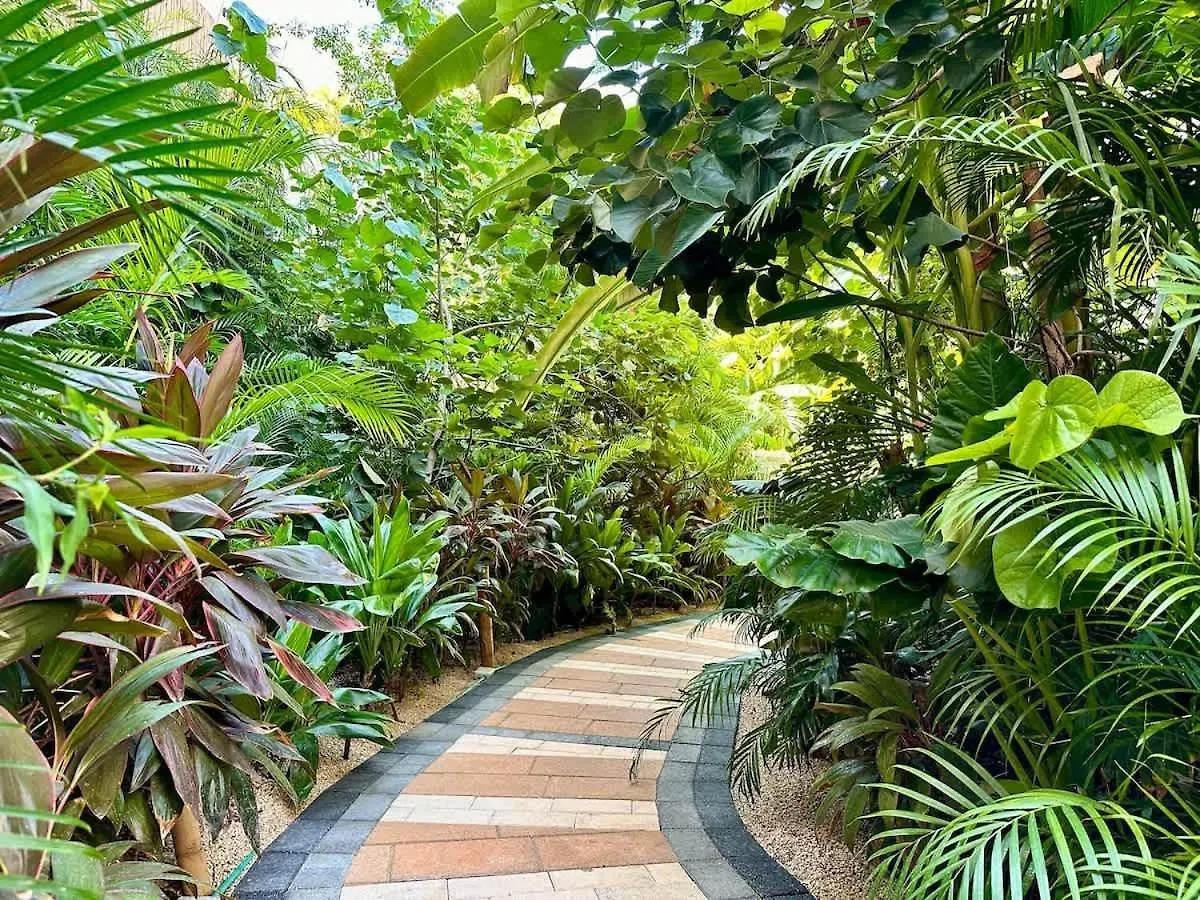 Inn Relaxing Lakeside Retreat Pool, Hot Tub Y Patio Tulum Mexico